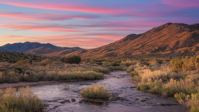 cucamonga guasti regional park