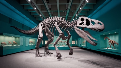 raymond m alf museum of paleontology